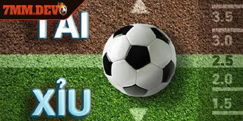 Thuật ngữ cá độ trong kèo tài xỉu 