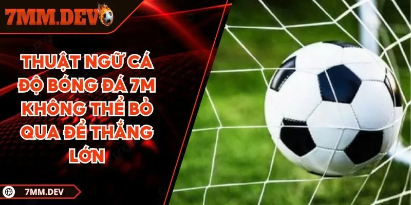 Thuật ngữ cá độ bóng đá